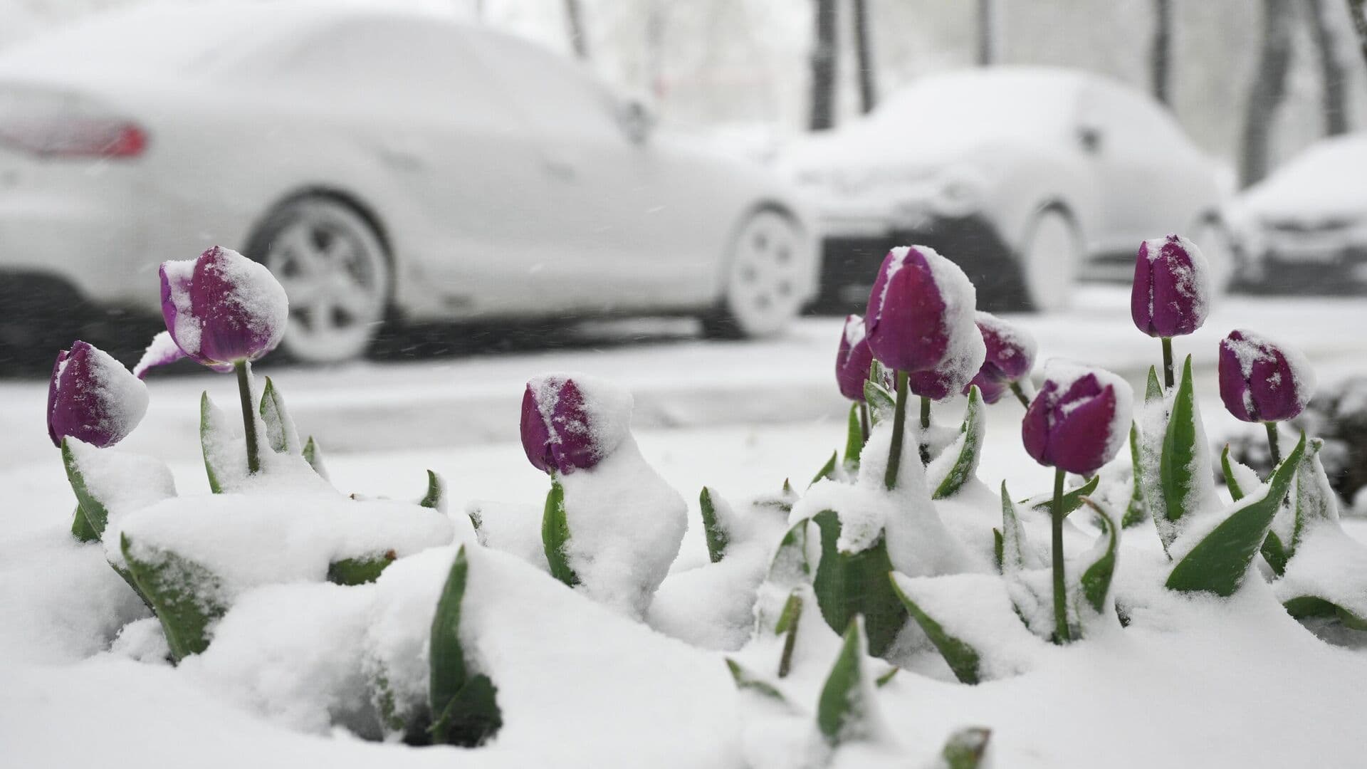 Синоптик рассказал о погоде в Москве в понедельник