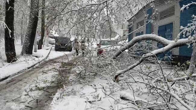В Москве объявили оранжевый уровень погодной опасности