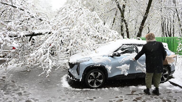 Высота снега в Москве побила рекорд 55-летней давности
