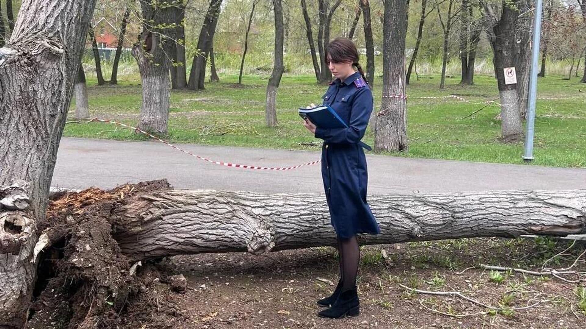 В Самаре девочка погибла при падении дерева на тротуар