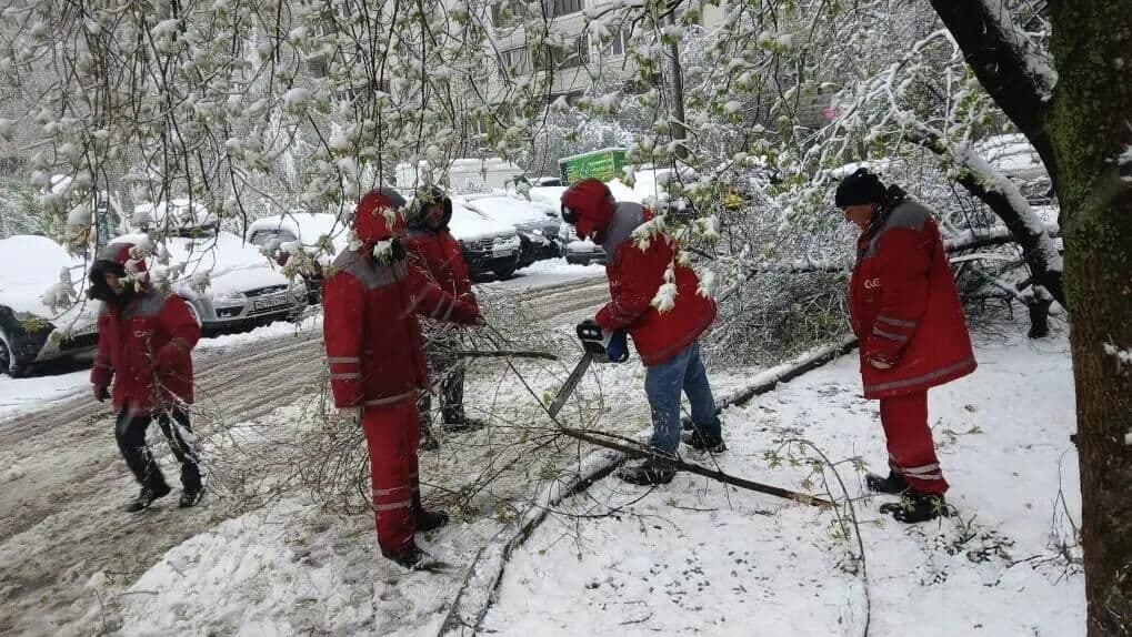 Городские службы Москвы продолжают ликвидировать последствия непогоды