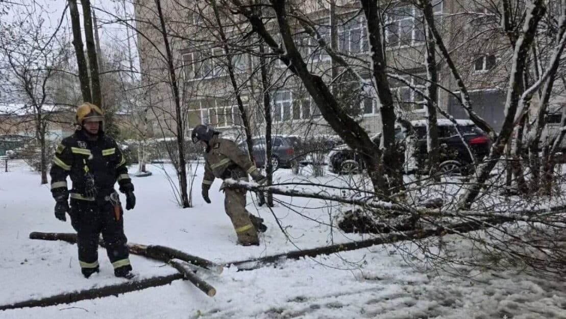 В Подмосковье за сутки выпало больше месячной нормы осадков