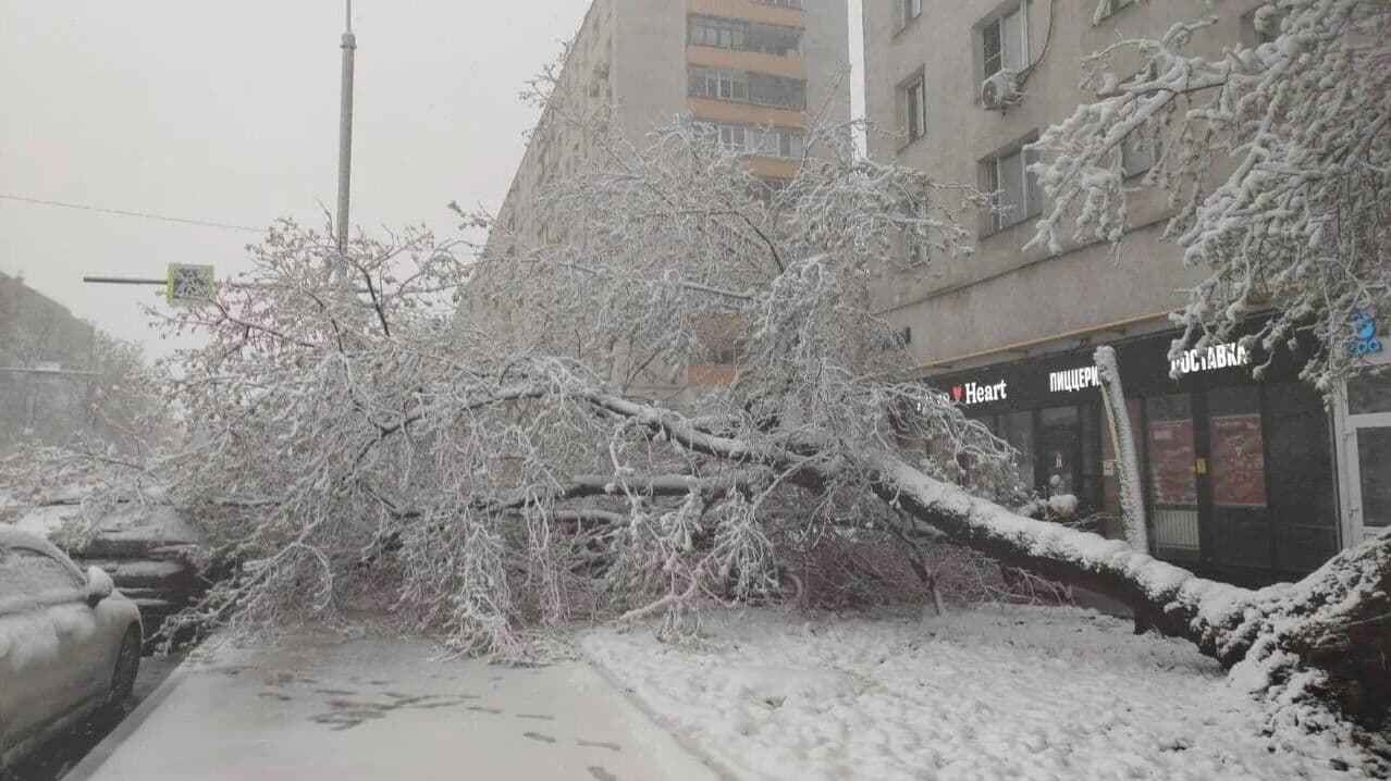 В Москве выпало более двух месячных норм осадков с начала апреля