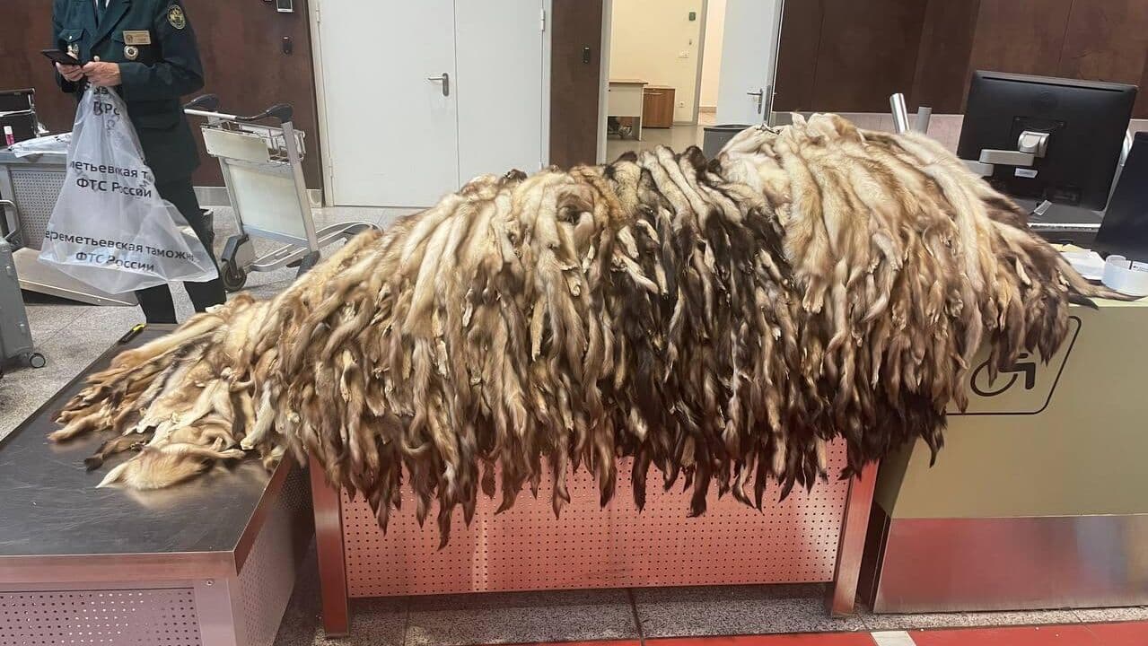 В Шереметьево задержали иностранца за попытку контрабанды в Китай