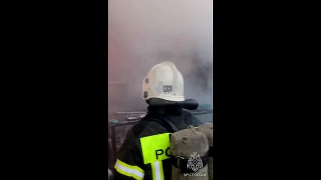 В Нижнем Новгороде 200 собак погибли при пожаре