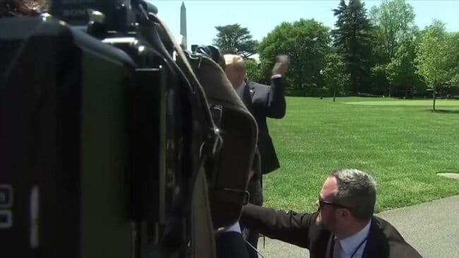 Трампа атаковала назойливая пчела