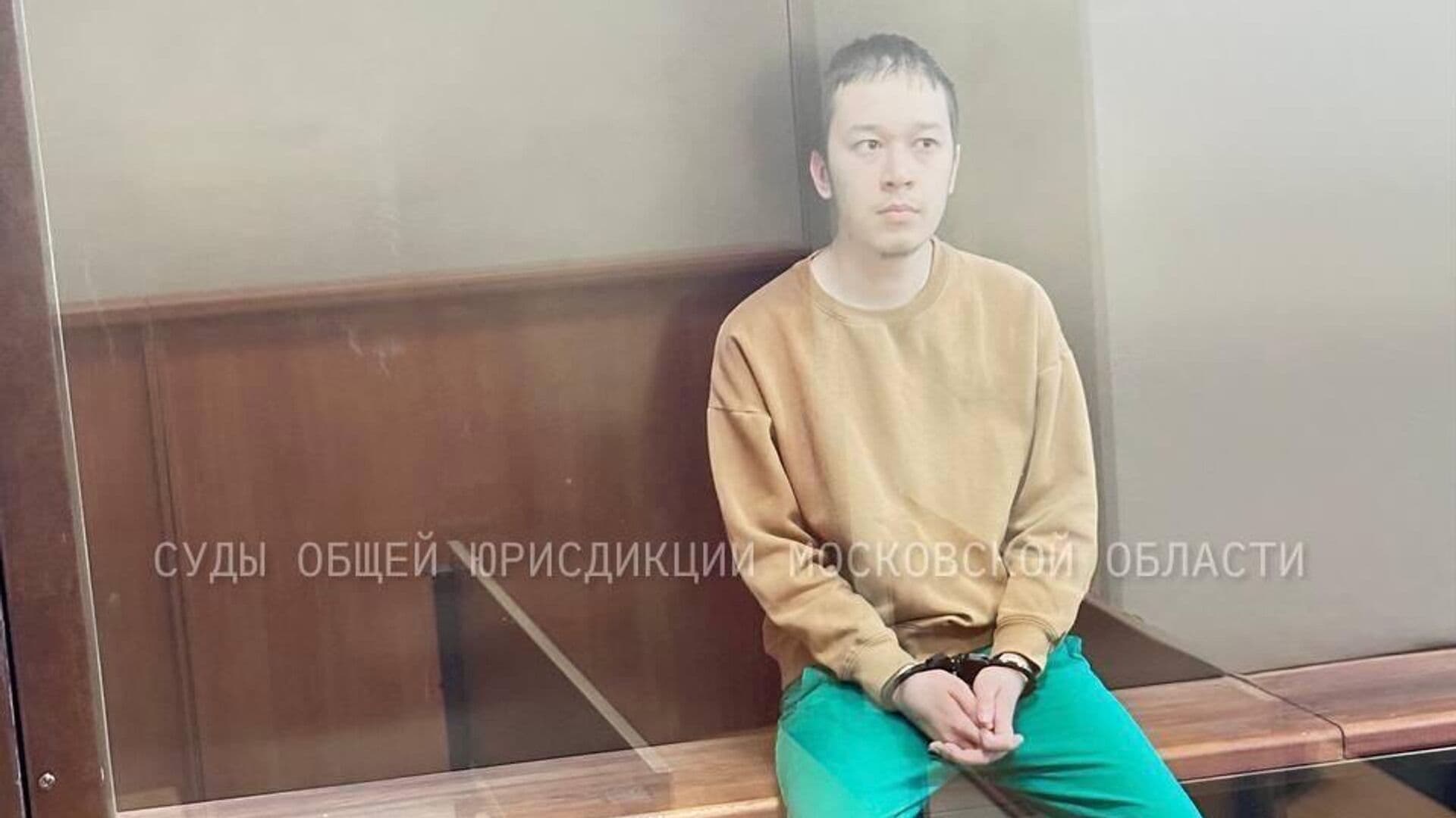Суд отправил в СИЗО мужчину, ранившего ножом девочку в Подмосковье