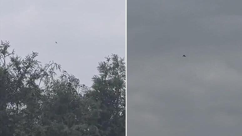 В Польше объяснили появление дронов над районами, граничащими с Украиной