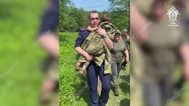 Пропавшую в Тульской области девочку нашли живой