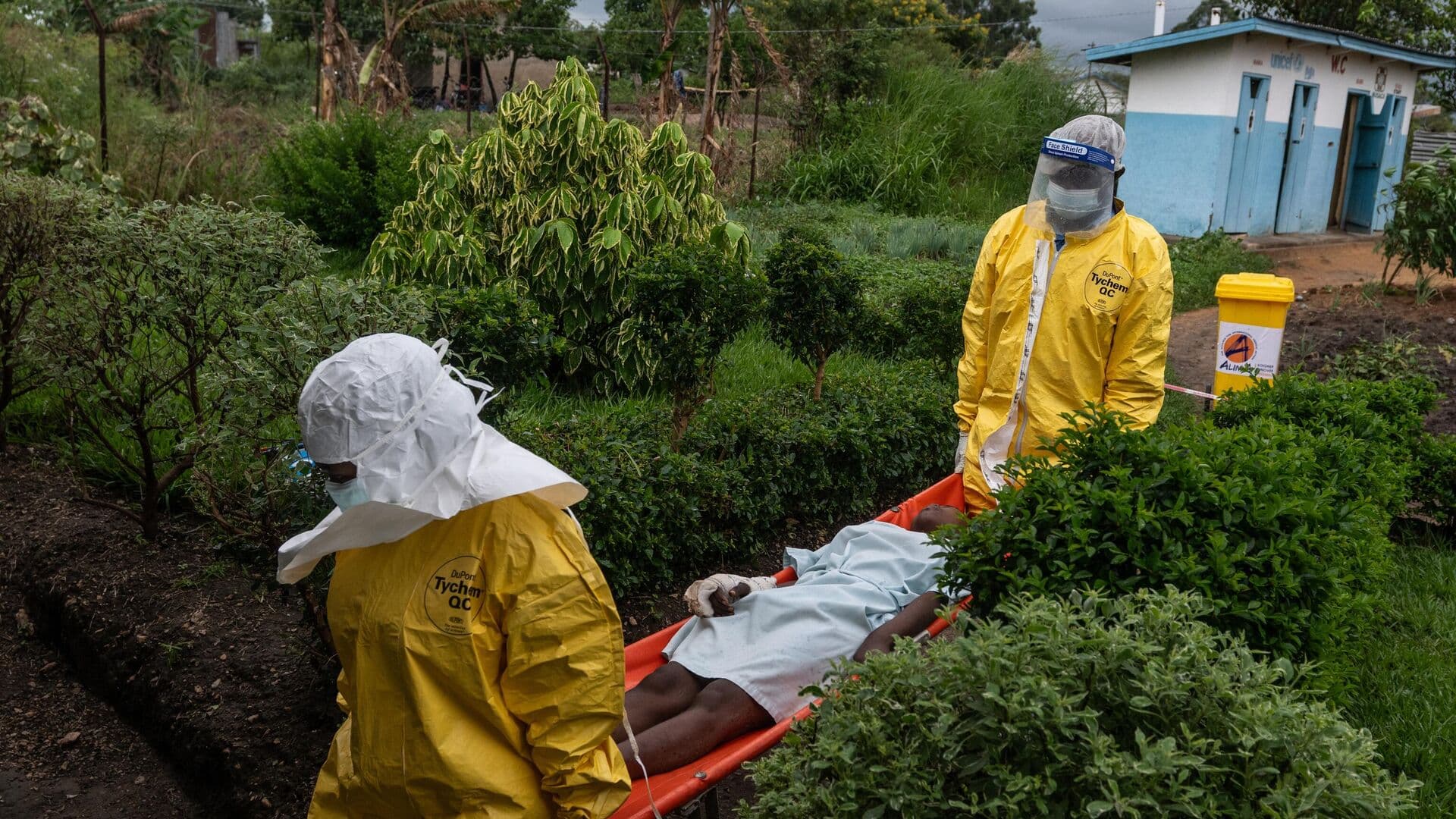 Число погибших от лихорадки Эбола в ДР Конго выросло до 181, пишут СМИ