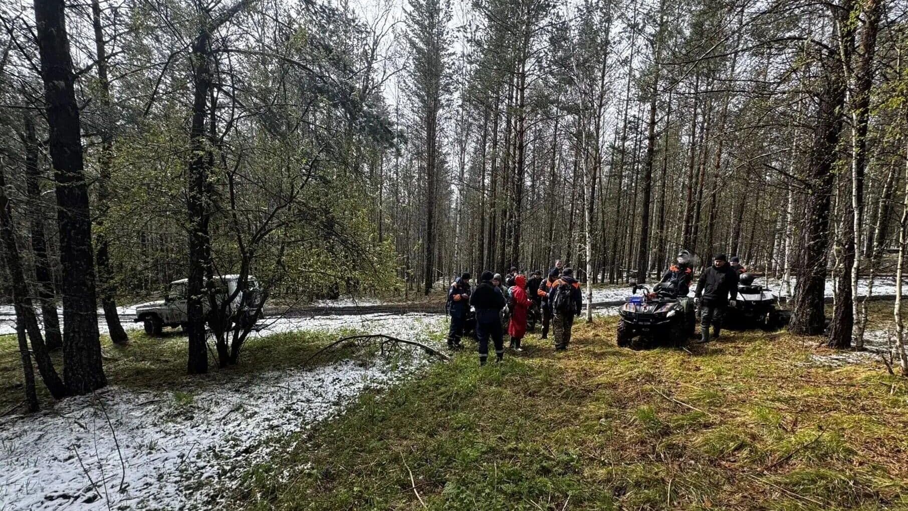 СК опроверг слухи о погребении пропавшей семьи Усольцевых в известняке