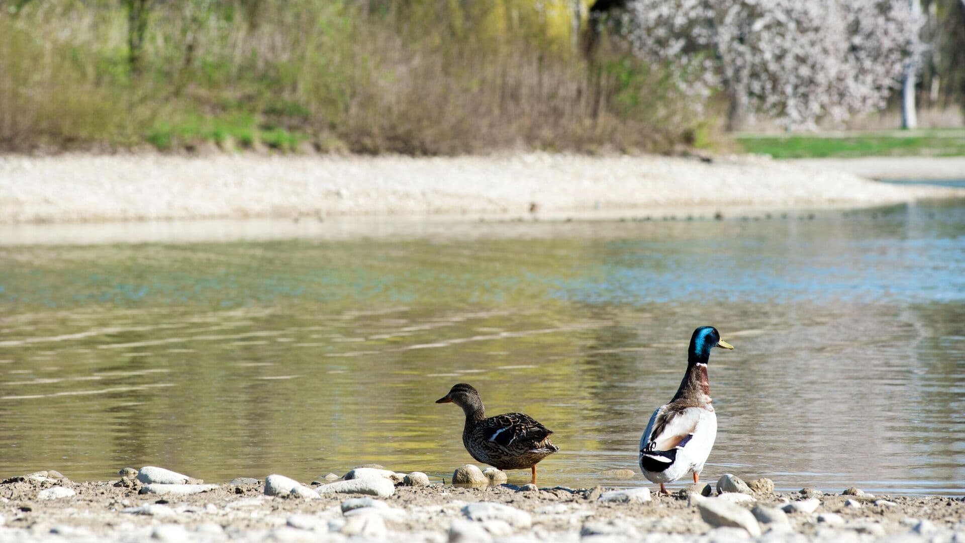 В Приангарье на реке Витим поднялся уровень воды
