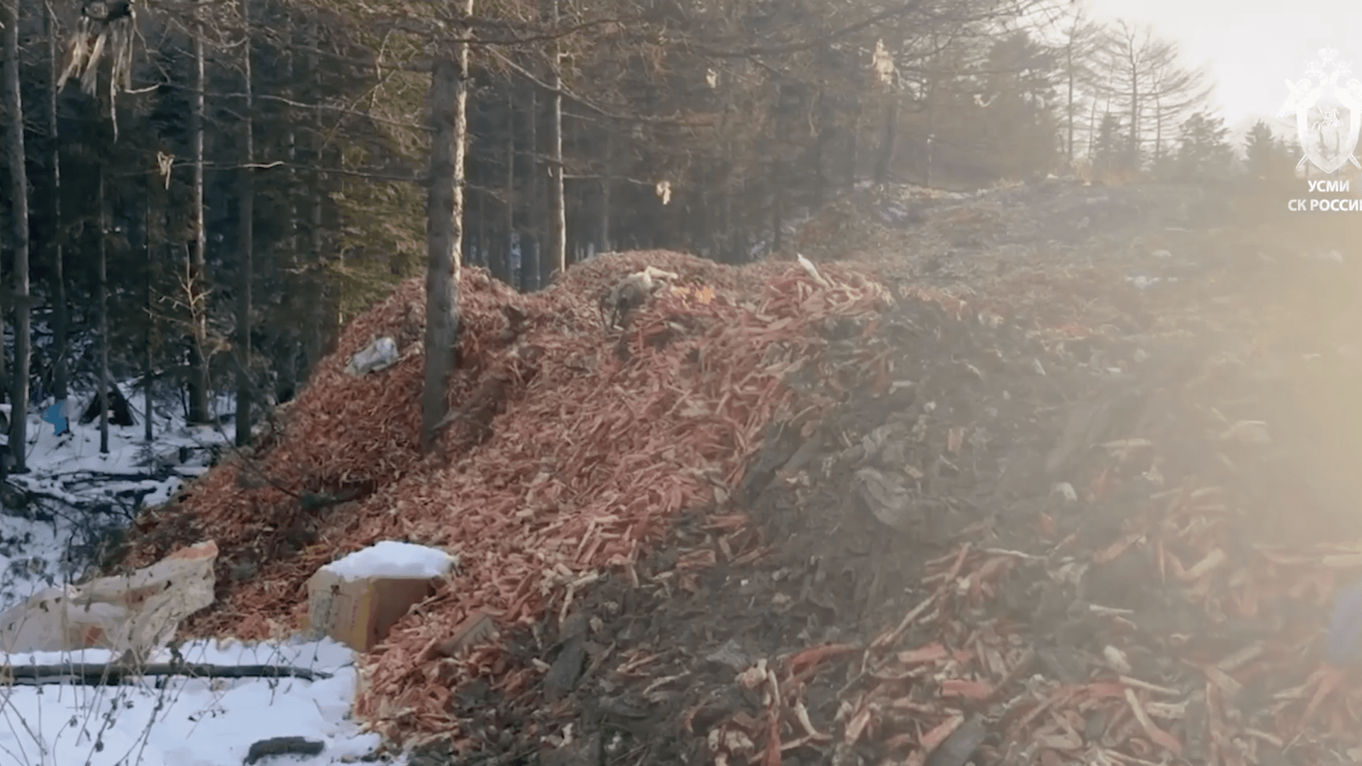 В Хабаровском крае шесть человек незаконно добыли краба на миллиард рублей