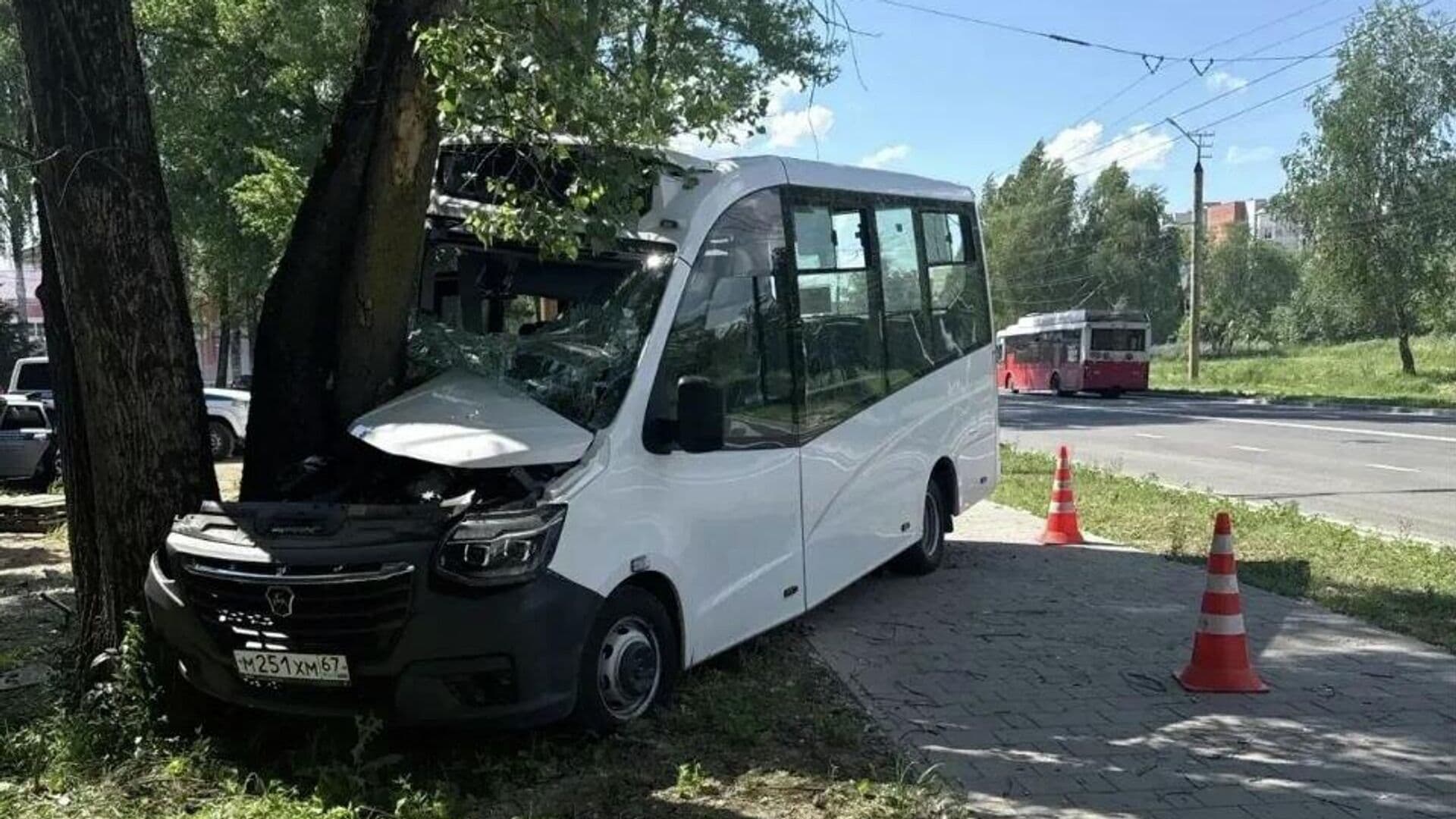 В Смоленске маршрутка врезалась в дерево из-за обморока водителя