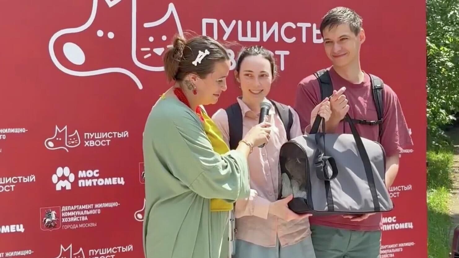 В Москве 12 животных нашли новый дом благодаря выставке "Пушистый хвост"