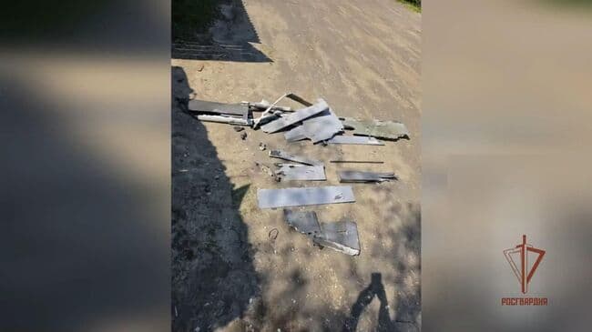 Росгвардия показала уничтожение украинского БПЛА в брянском приграничье