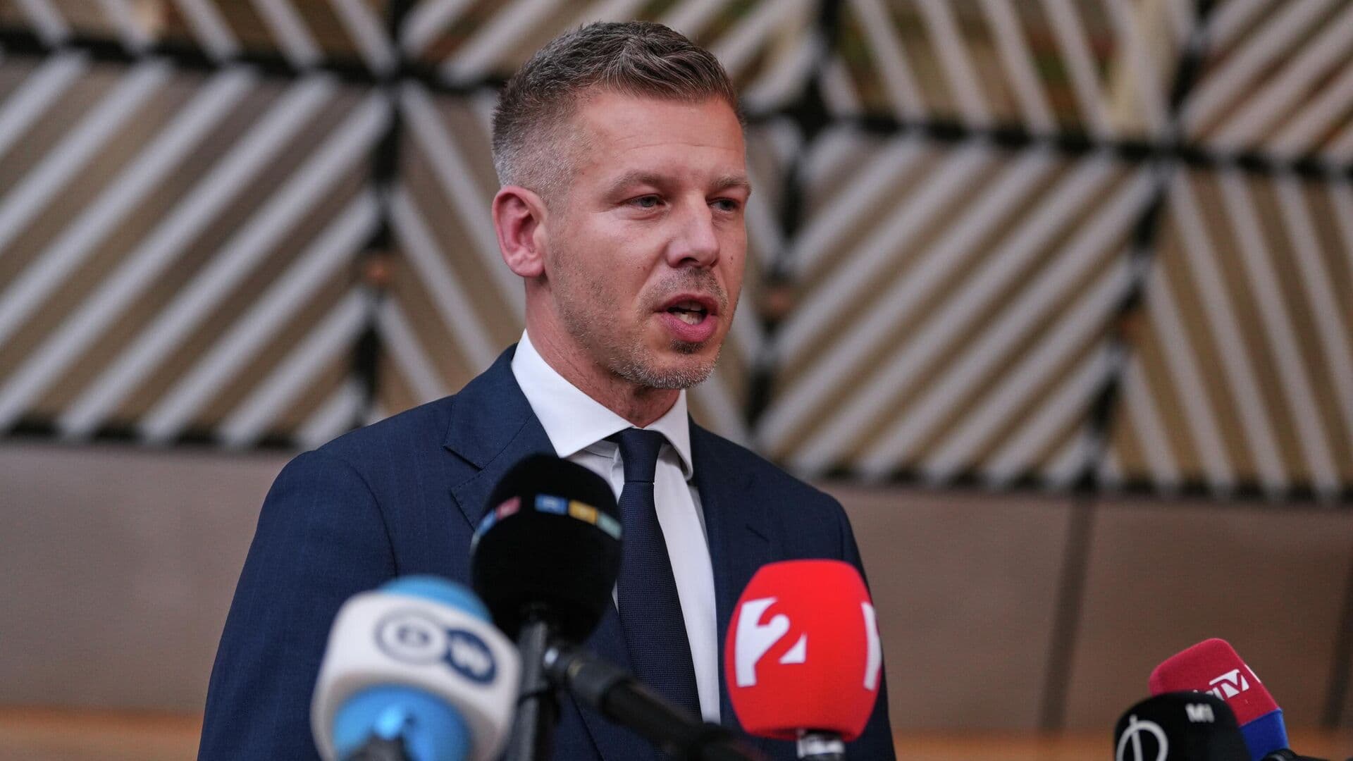 Мадьяр рассказал о разработке новой конституции в Венгрии