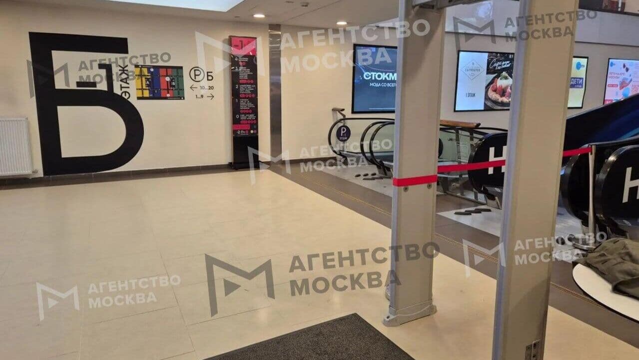 В московском ТЦ на ребенка упал металлодетектор