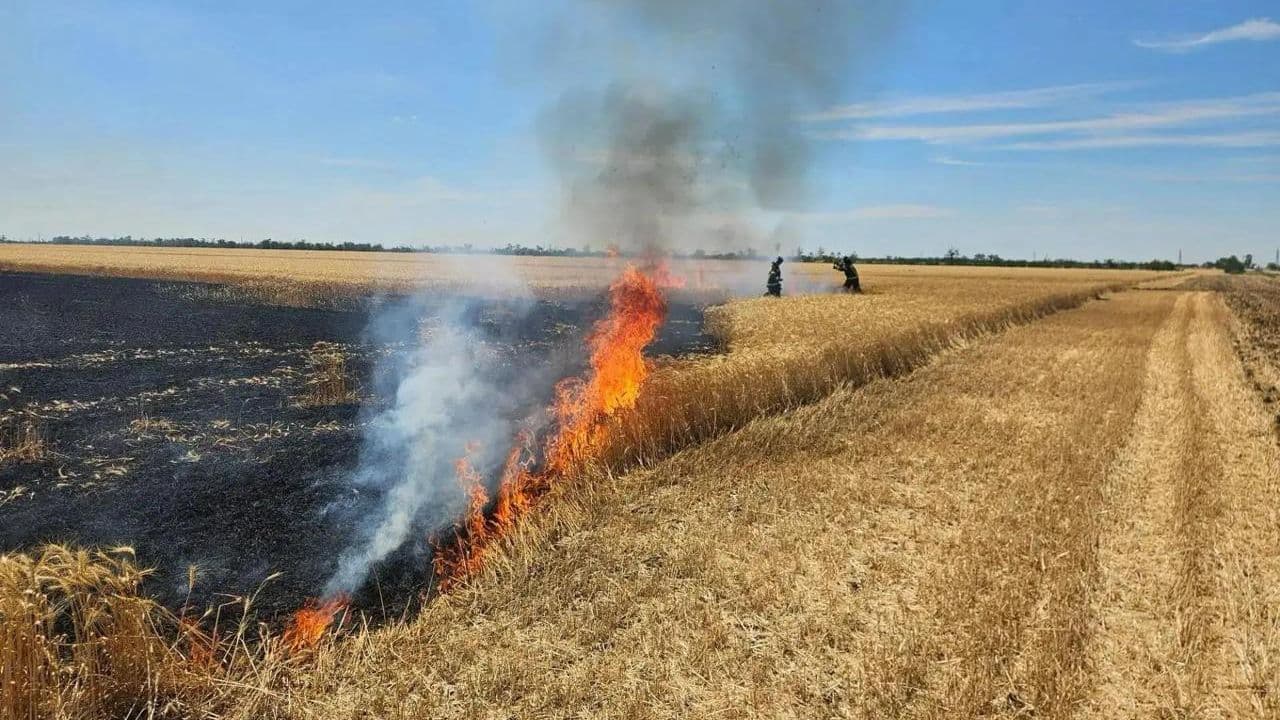 ВСУ повредили 45 гектаров посевов в Запорожской области