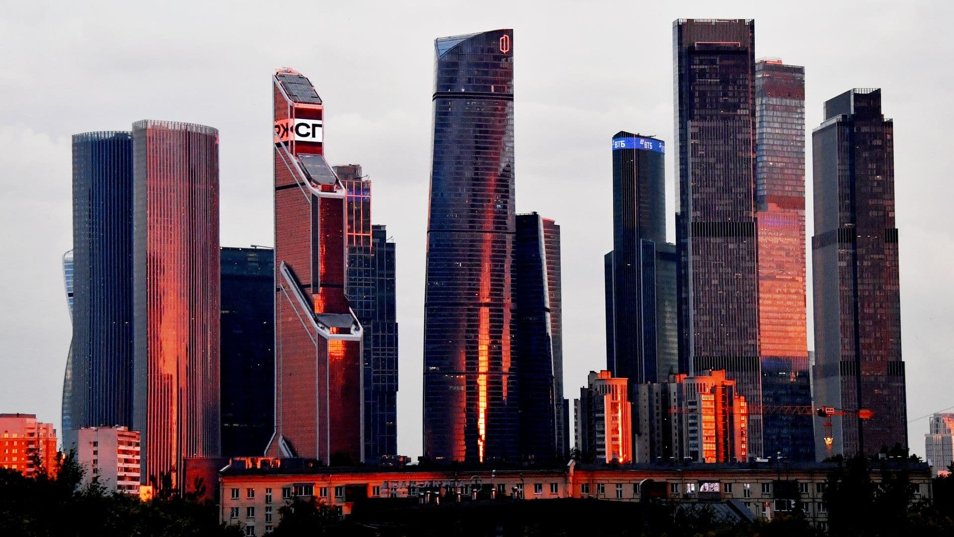 Иностранные специалисты подали сотни заявок на переезд в Россию