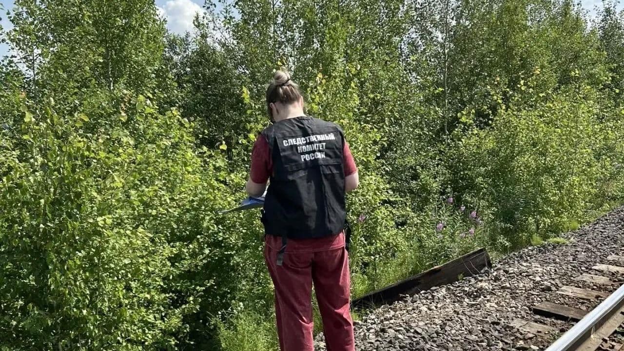 Семья девочки, погибшей в Ачинске, является благополучной, заявили в СК
