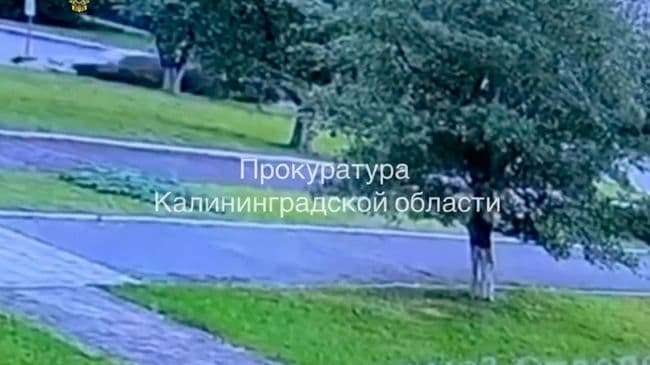 Девочка, пострадавшая в смертельном ДТП в Калининграде, находится в коме