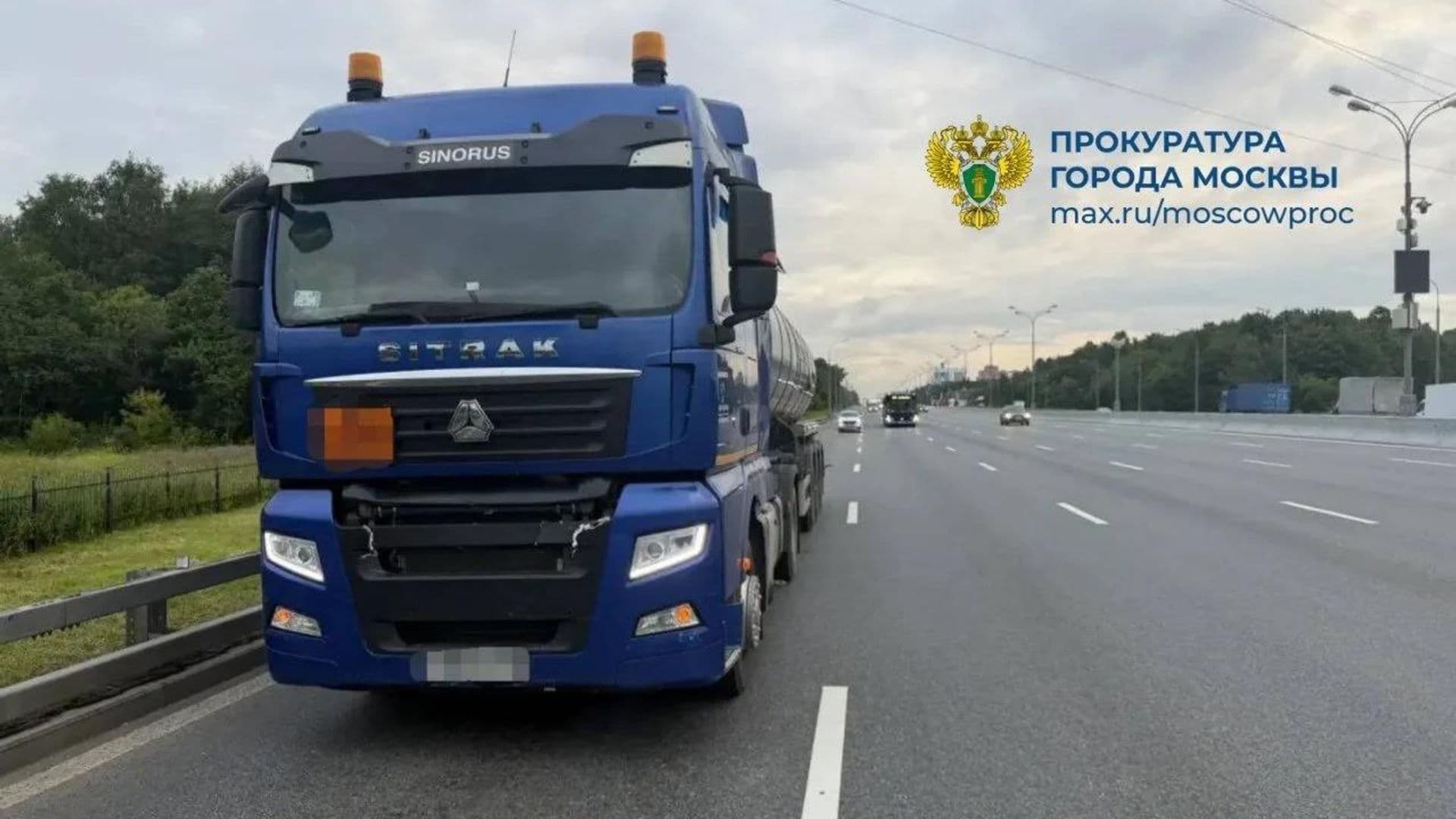 Грузовик задавил лося на МКАД