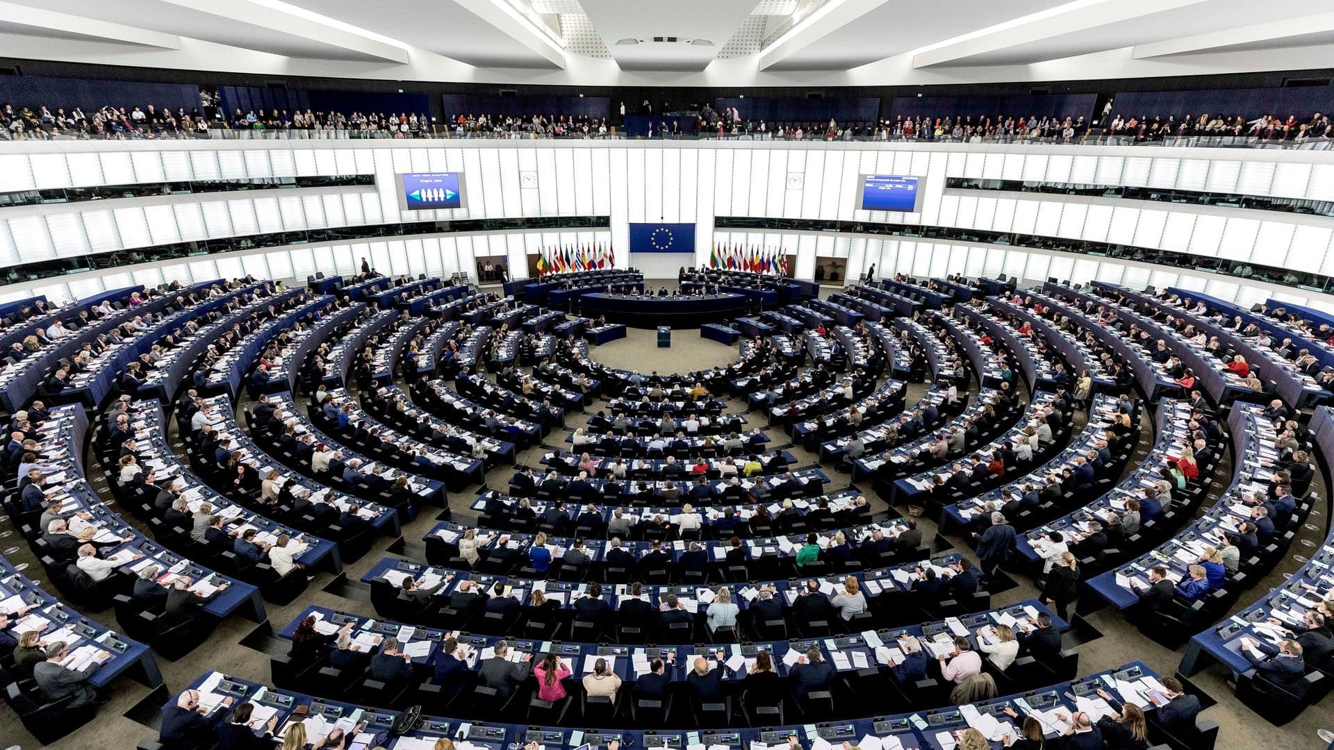 "Это скандал!" В Европарламенте жестко высказались об инциденте с Мендель