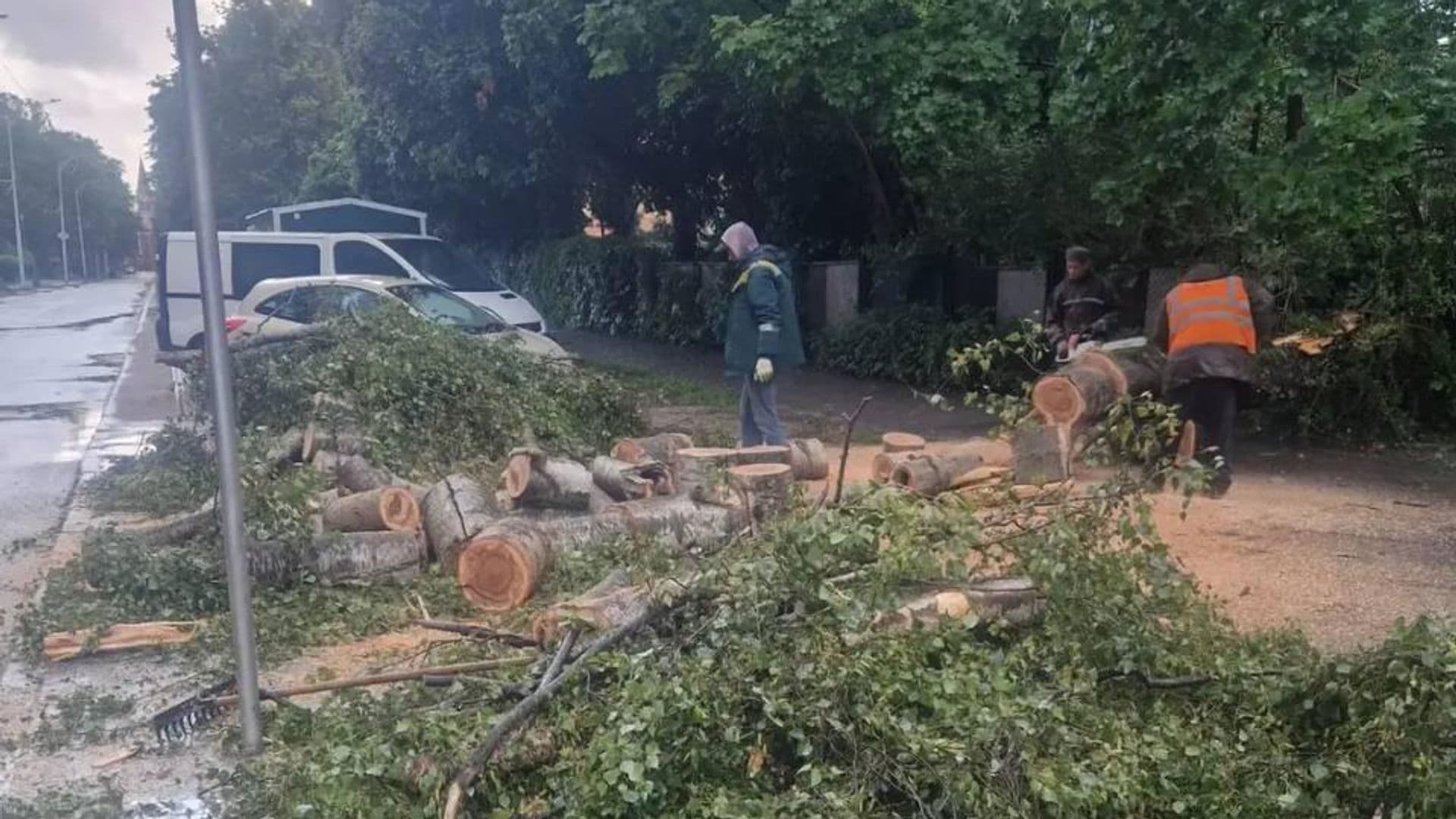 В Калининградской области ураганный ветер повалил утром более 100 деревьев