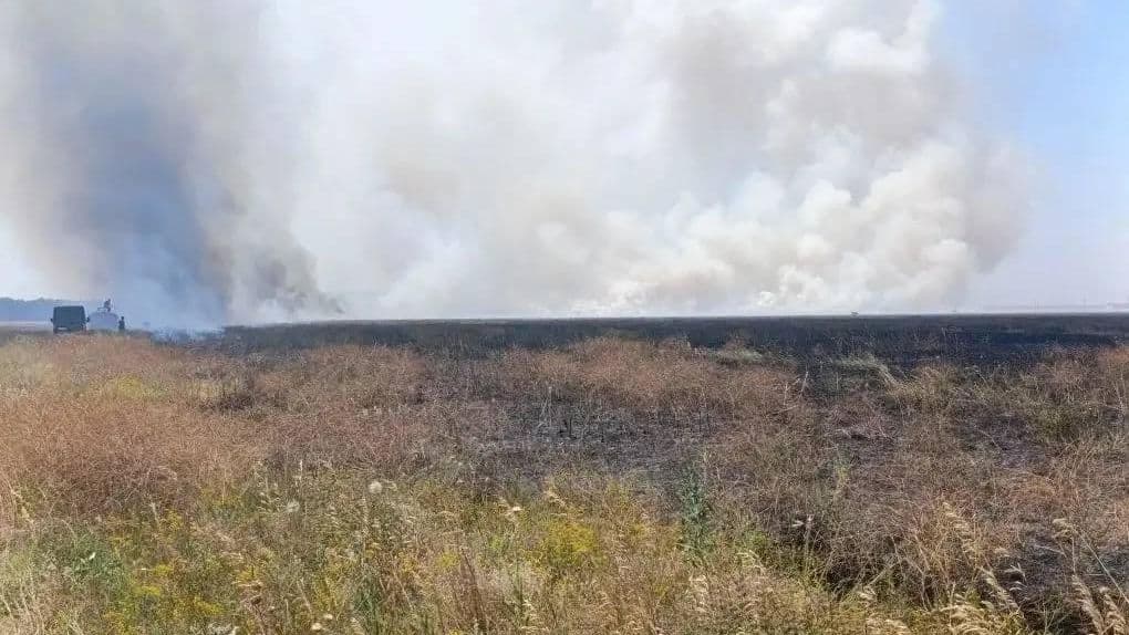 Пожары от атак ВСУ нанесли масштабный урон заповеднику "Аскания-Нова"