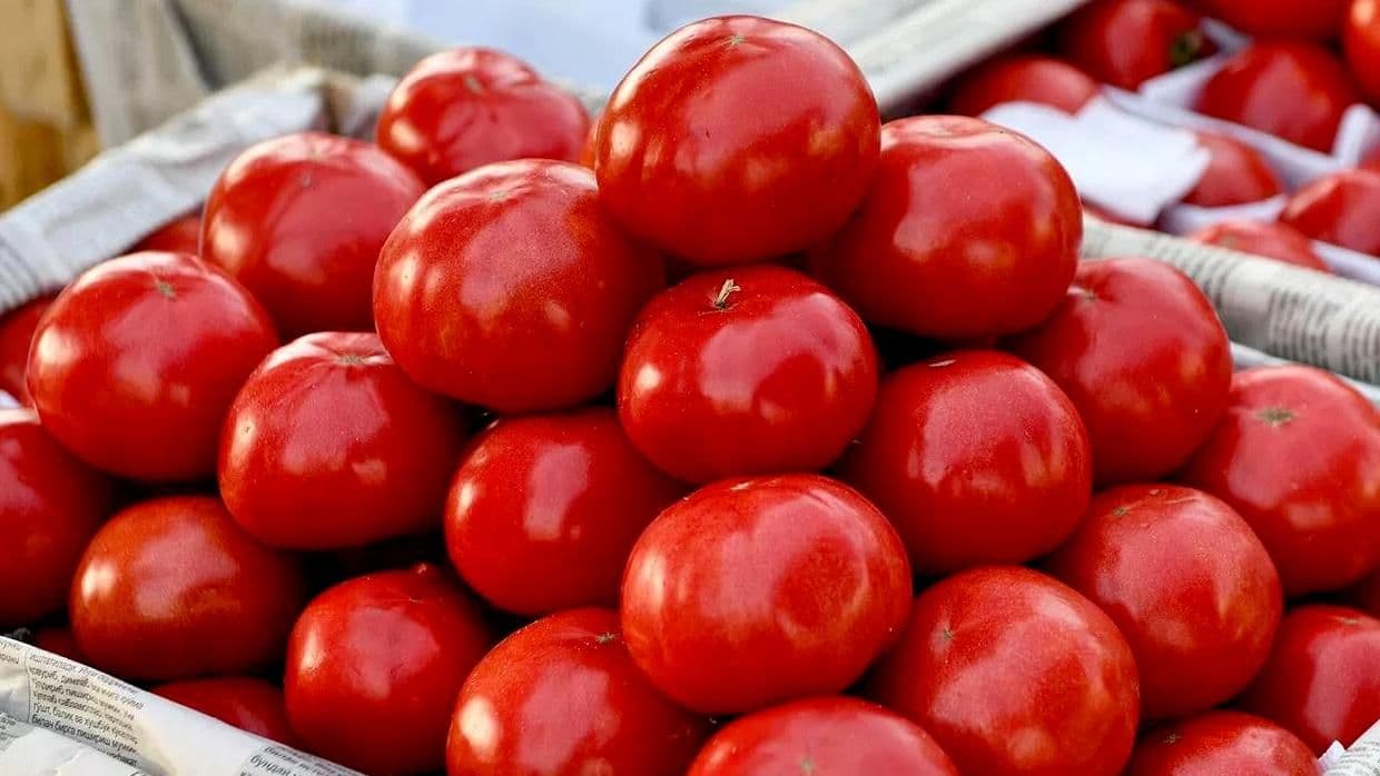 Россельхознадзор ограничит ввоз продукции от пяти узбекских экспортеров