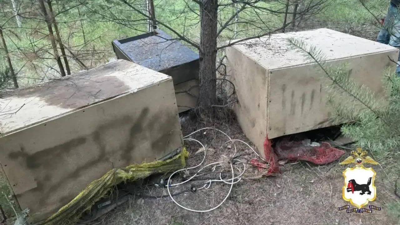 В лесу под Иркутском нашли майнинговую ферму