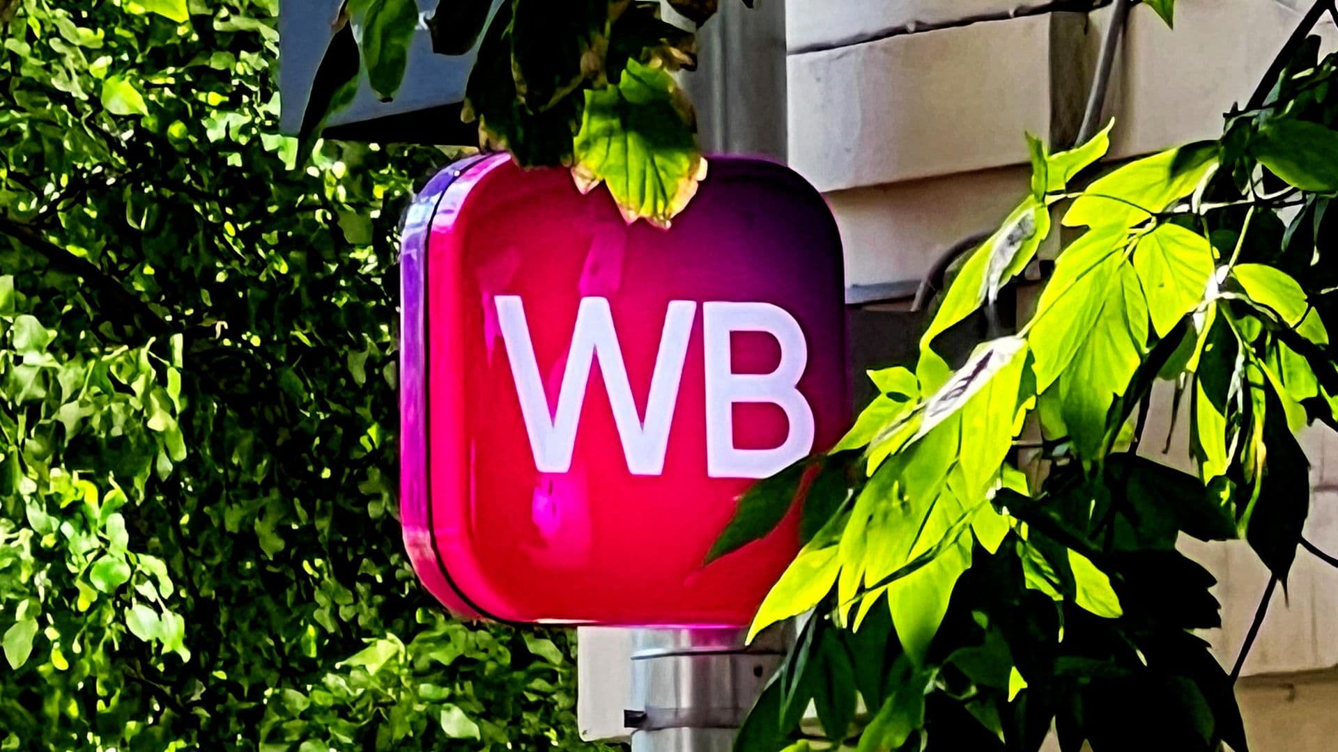 В Петербурге рассказали о поддержке бизнеса, пострадавшего от атак на WB