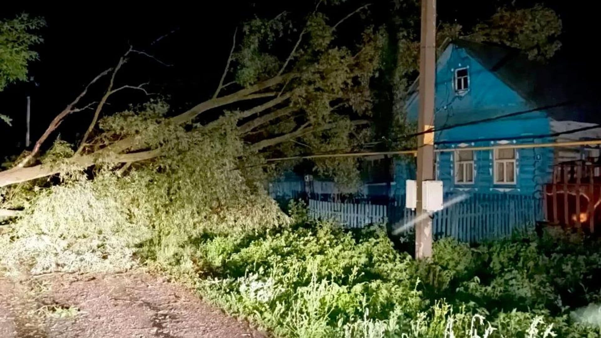 В Татарстане сильный ветер повалил 20 деревьев, один человек погиб