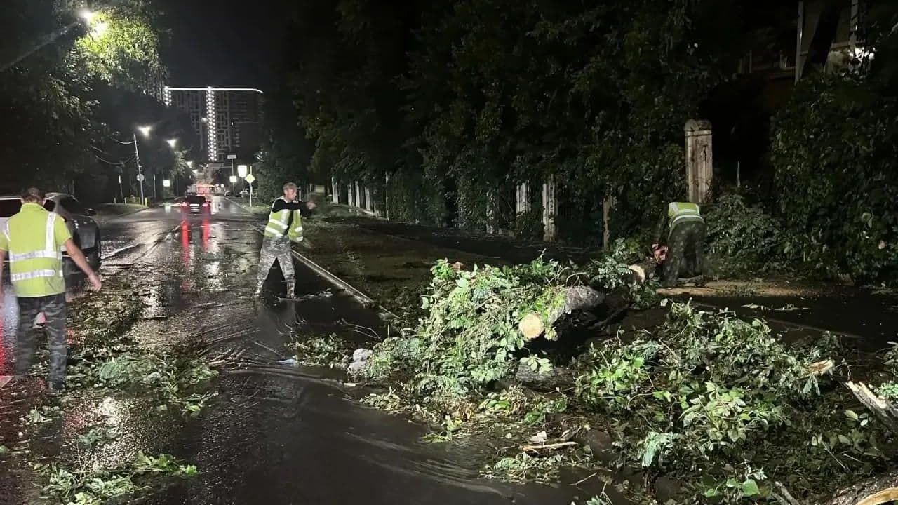 В Ростове-на-Дону из-за непогоды погиб человек, еще 13 пострадали