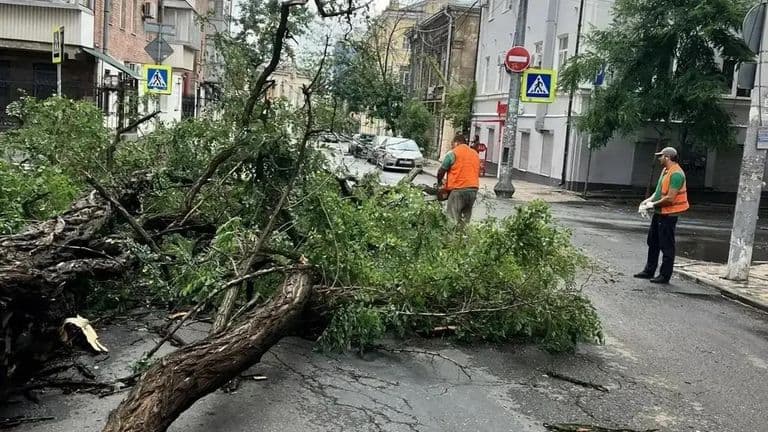 Число пострадавших от непогоды в Ростове-на-Дону выросло до 28