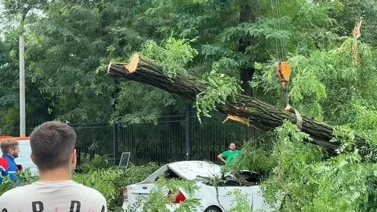 Число пострадавших от непогоды в Ростовской области превысило 50