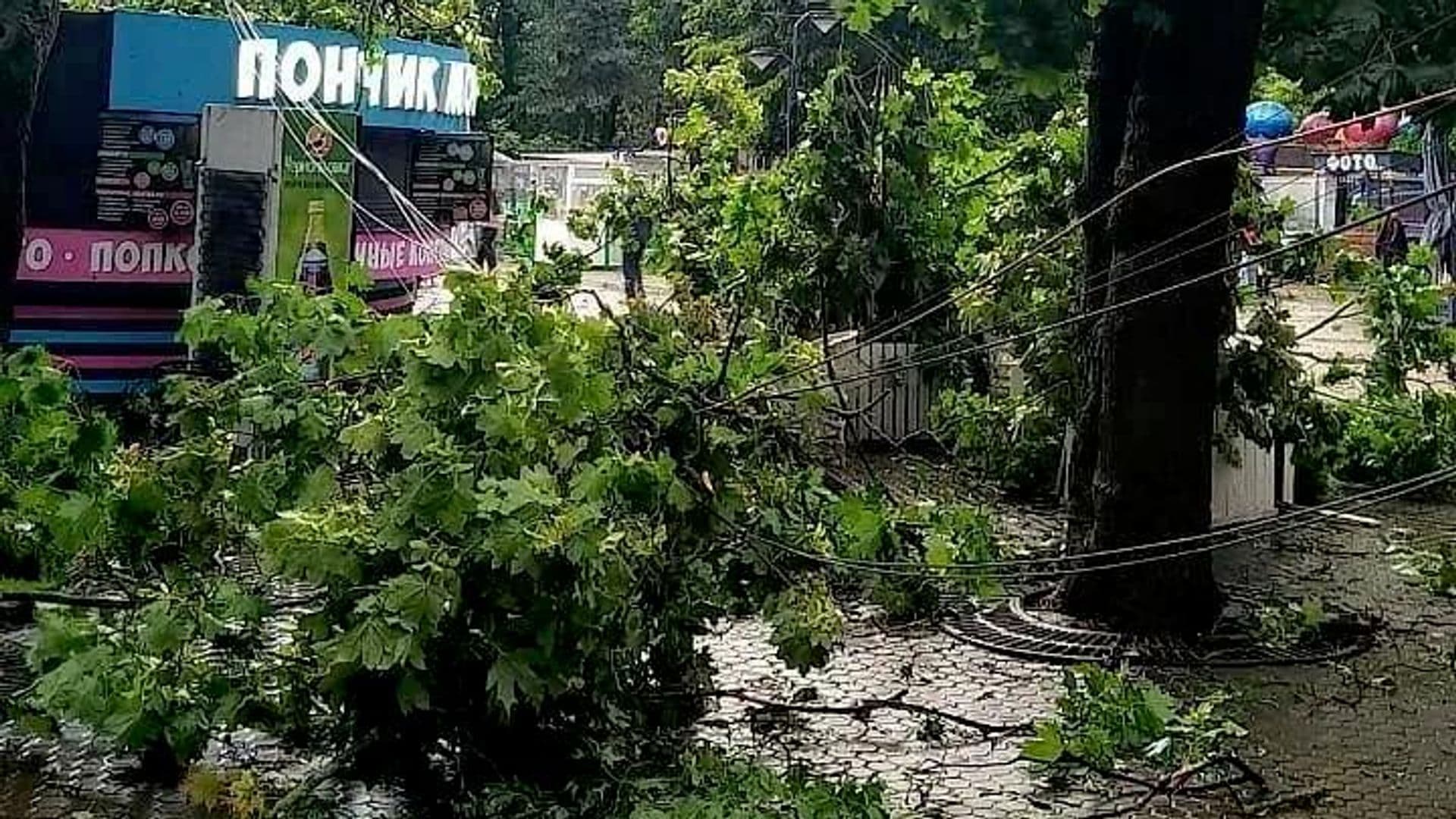 Семье погибшего во время урагана в Ростове-на-Дону выплатят пособие