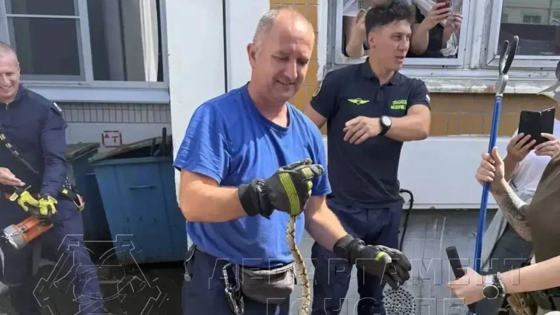 Спасатели поймали змею на территории детского сада в Москве