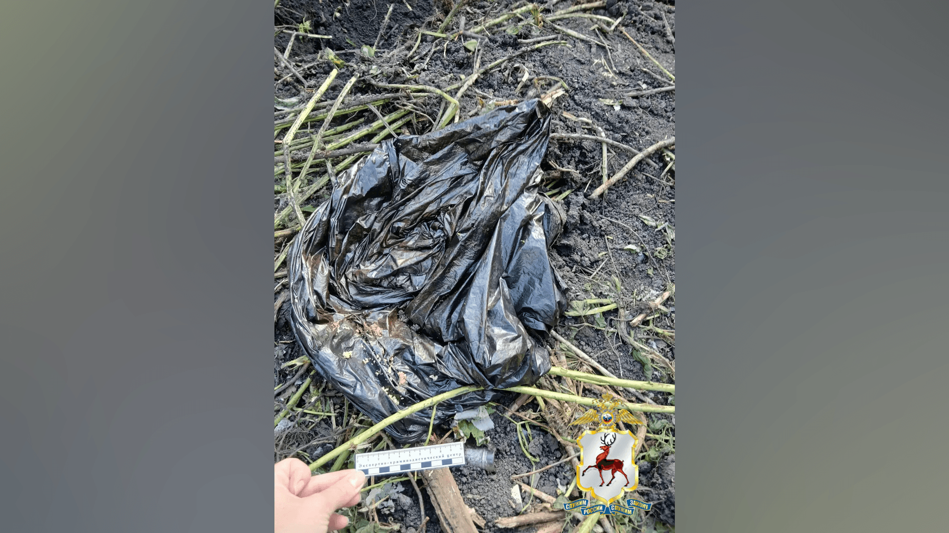 В Нижегородской области пенсионера арестовали за убийство соседа