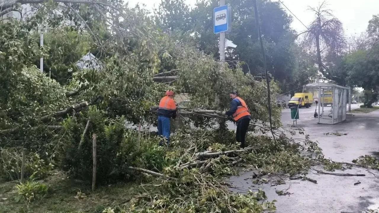 В Самаре сильный ветер повалил десятки деревьев
