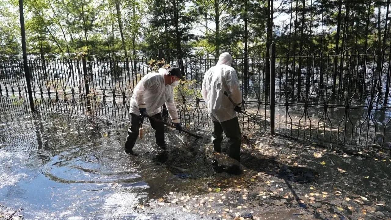 В Тюмени за неделю собрали более четырех тонн погибшей рыбы