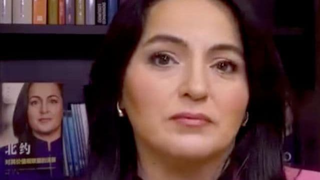 Немецкий политик выступила за выход Германии из НАТО ради самосохранения
