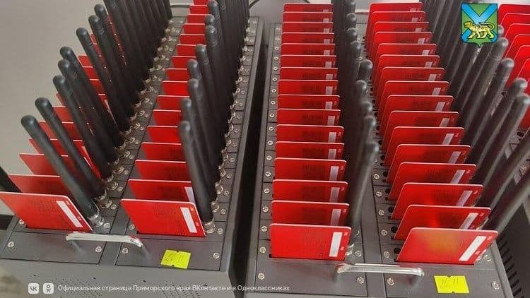 В Приморье задержали семь человек за обслуживание мошеннических сим-боксов