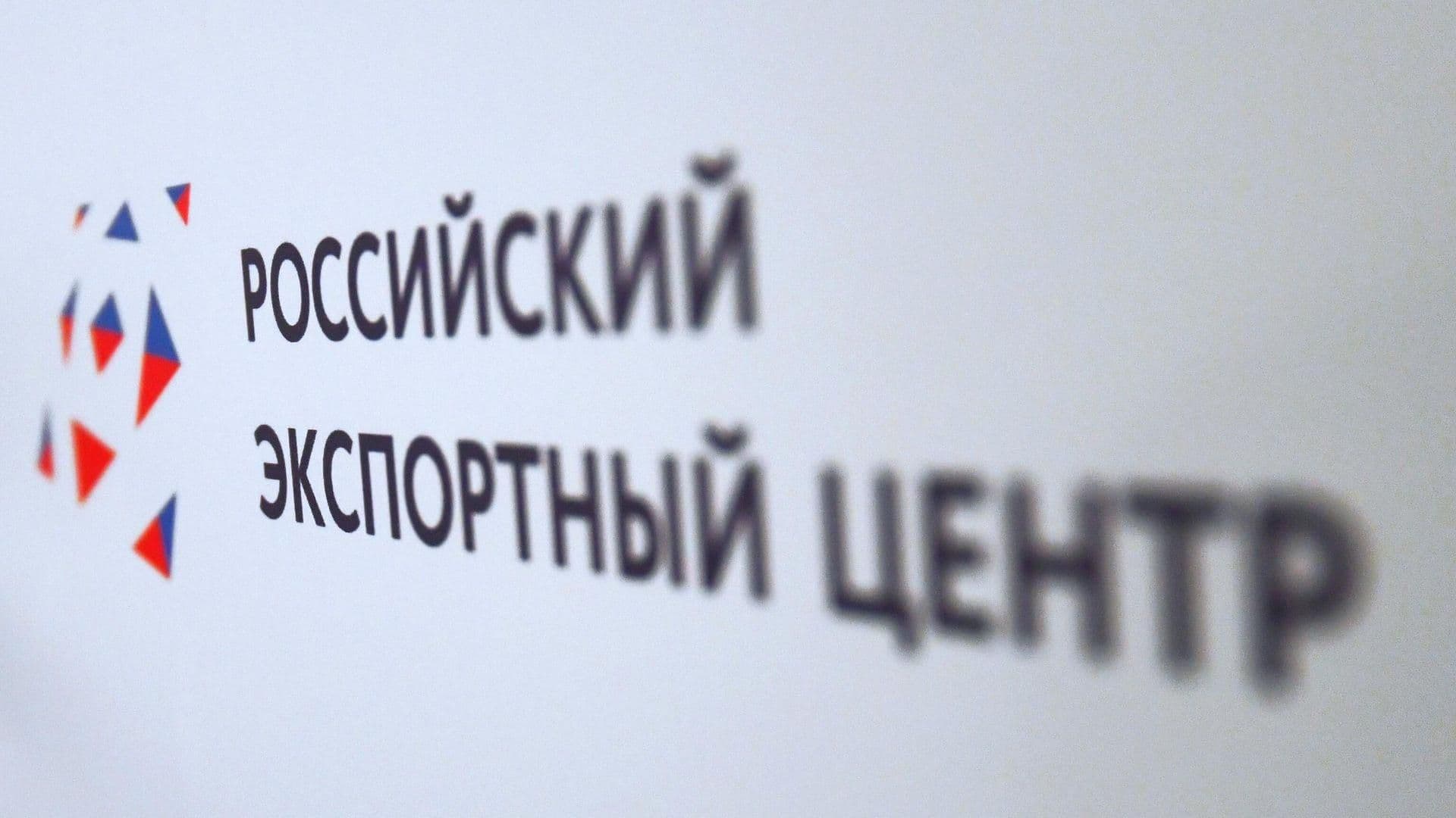 РЭЦ предлагает бизнесу пользоваться мерами государственной поддержки