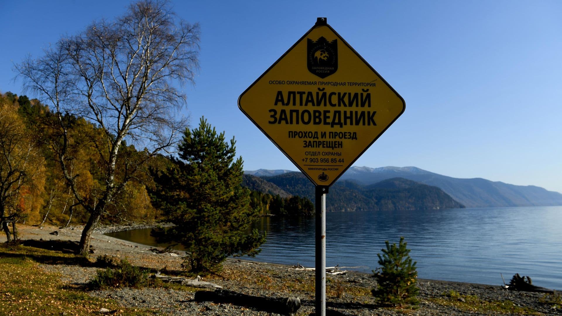Поселок на Алтае, у которого медведь убил женщину, закрыли для туристов