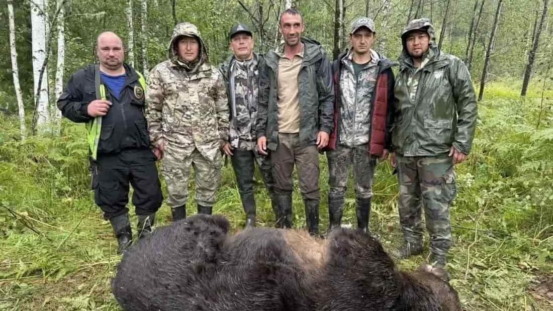 Эксперты проведут экспертизу останков медведей, ликвидированных на Алтае