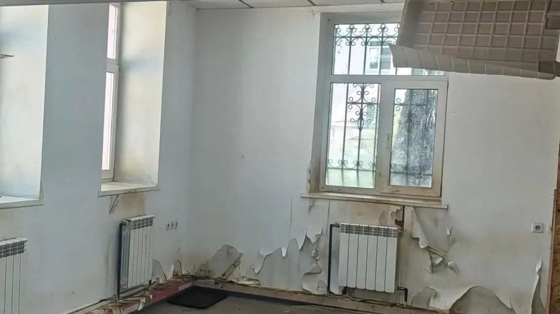 В Екатеринбурге нашли нарушения в кафе с енотами