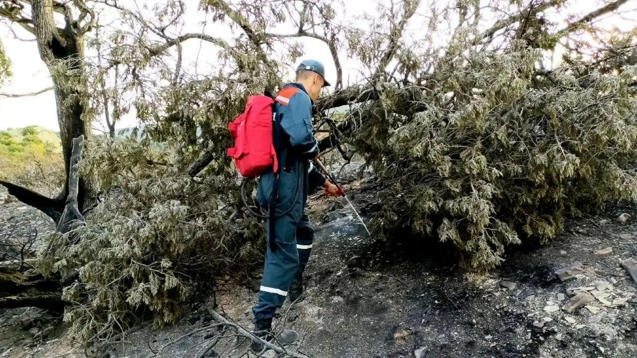В заповеднике "Утриш" под Анапой локализовали пожар