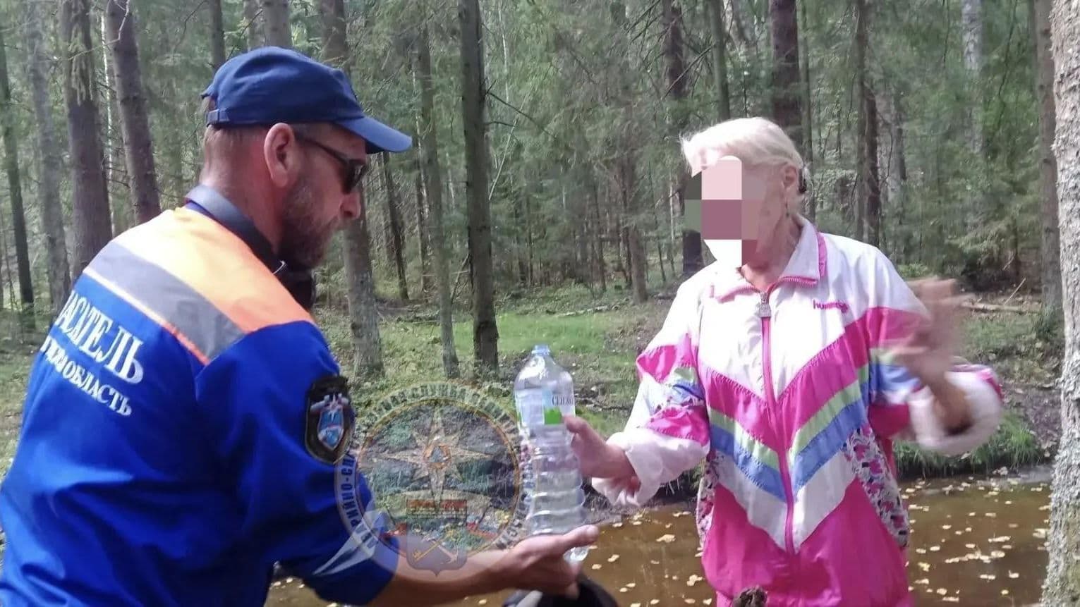 В Ленинградской области женщину, отправившуюся в лес, покусали пчелы
